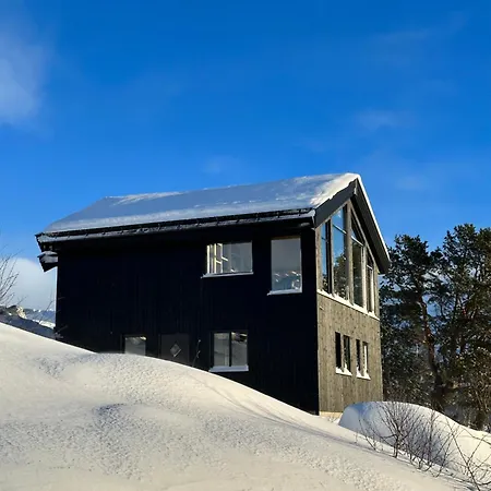Hytta Haukelifjell Skisenter Vagslivatnet Exterior photo