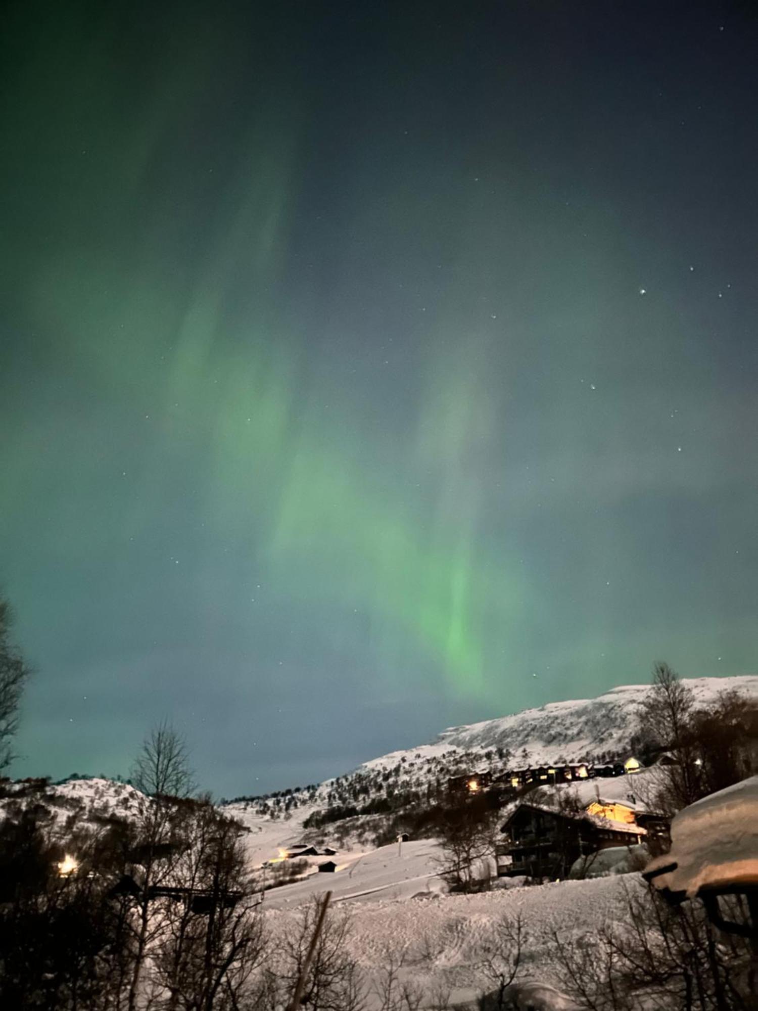 Hytta Haukelifjell Skisenter Holiday home