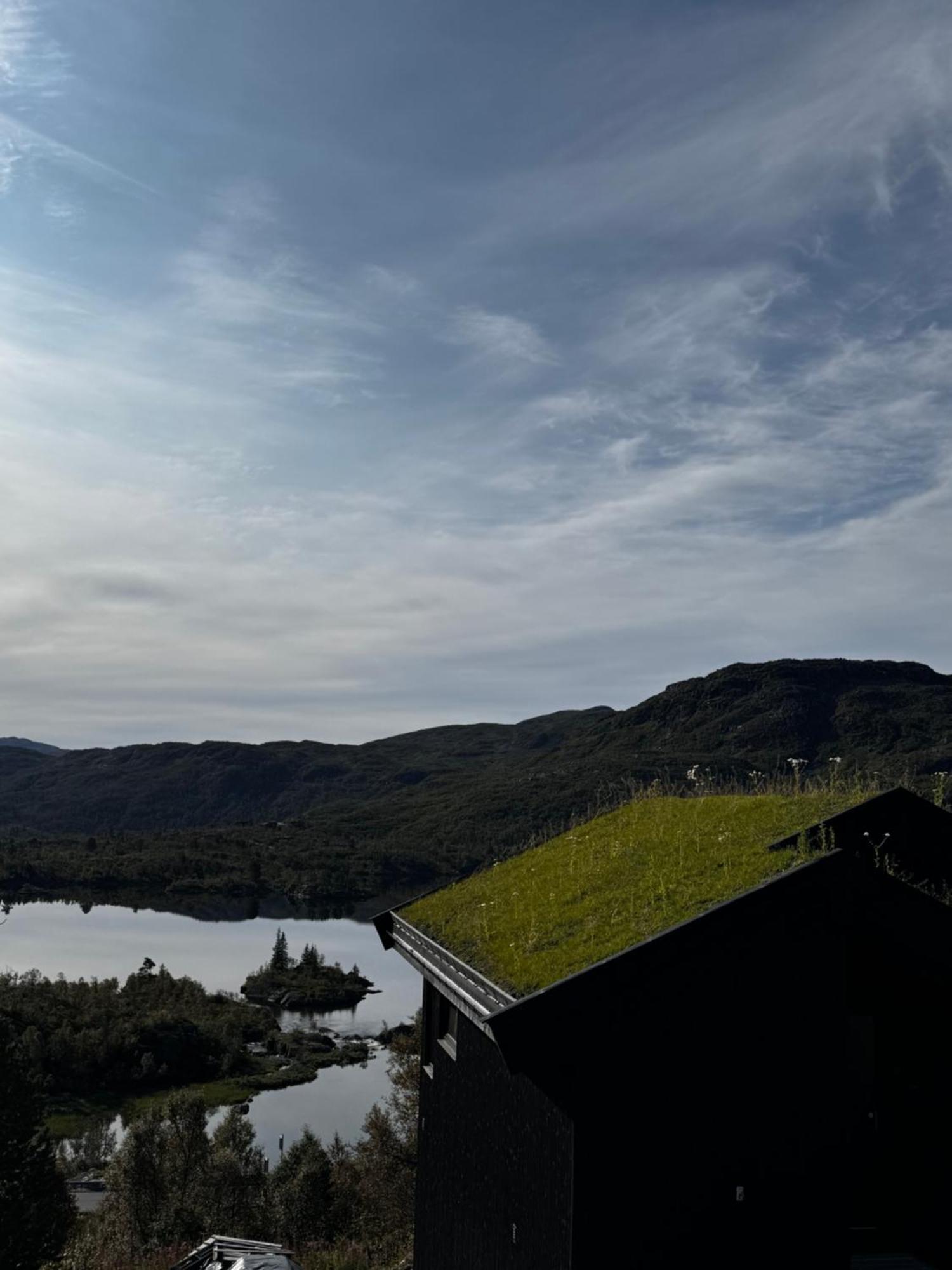 Hytta Haukelifjell Skisenter Holiday home Vagslivatnet